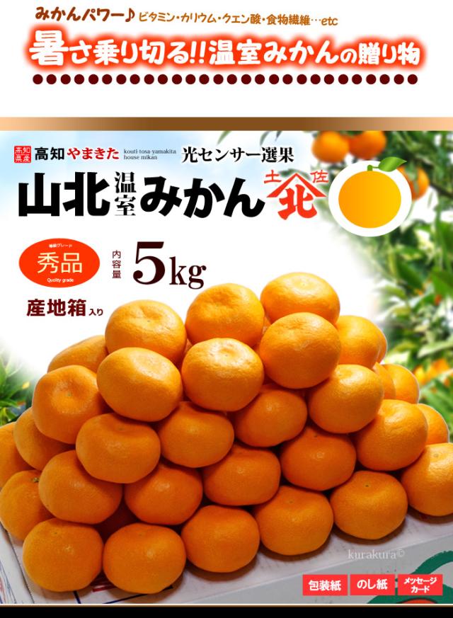 山北温室ハウスみかん（秀5kg）販売姿イメージ