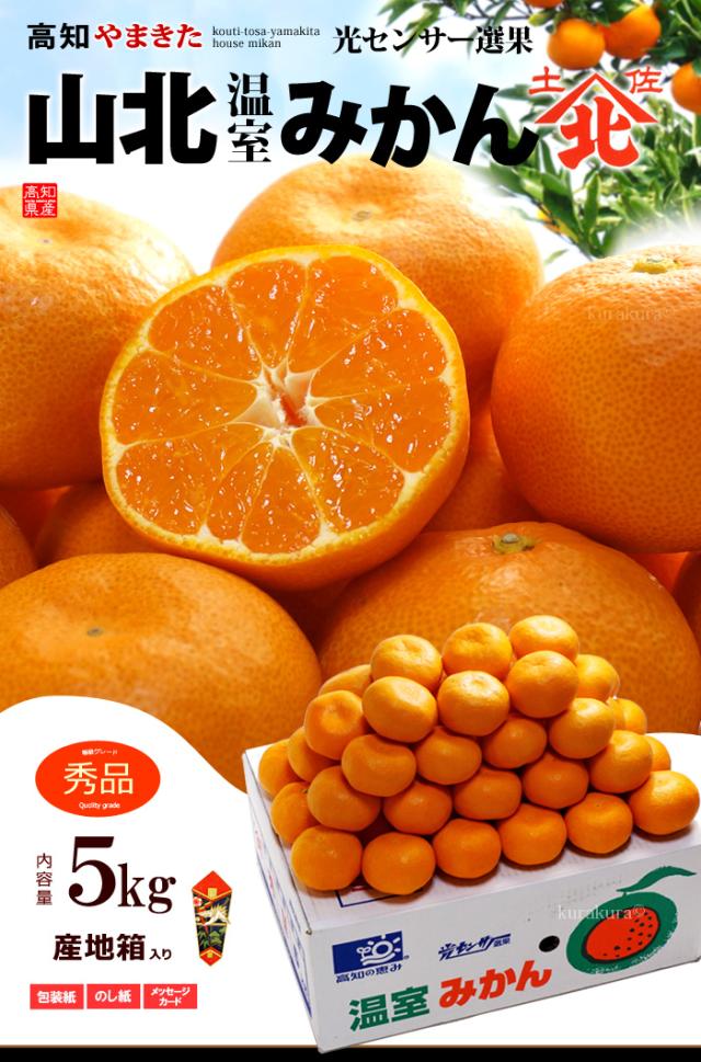 山北温室ハウスみかん（秀5kg）販売/通販