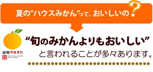 夏のハウスみかんって、おいしいの？