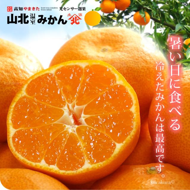 夏の暑い日に食べる冷えたみかんは最高です