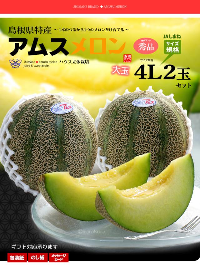 島根アムスメロン秀品4L2玉販売のお届け姿イメージ