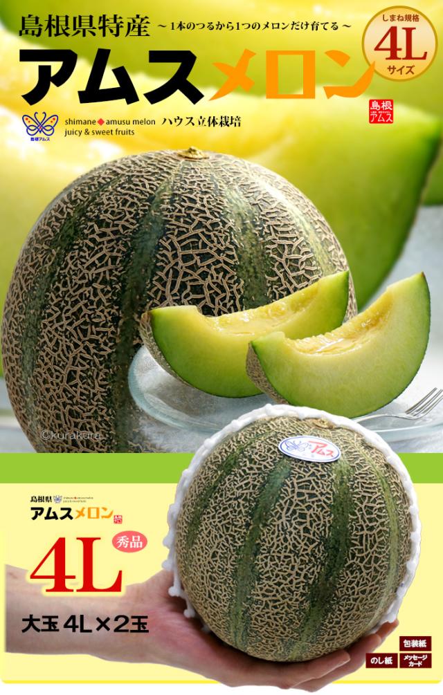 島根アムスメロン4L2玉販売/通販