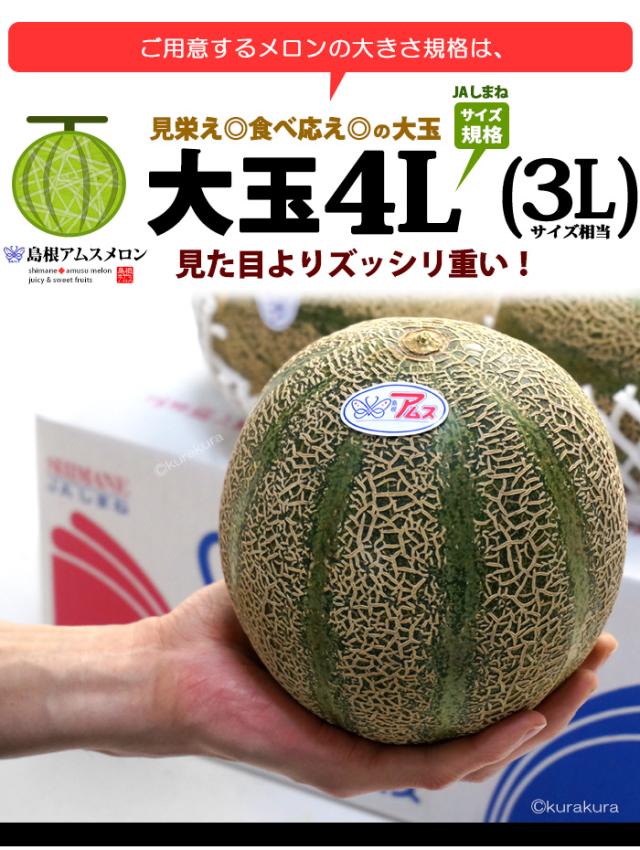 島根アムスメロン大玉4Lサイズ規格イメージ