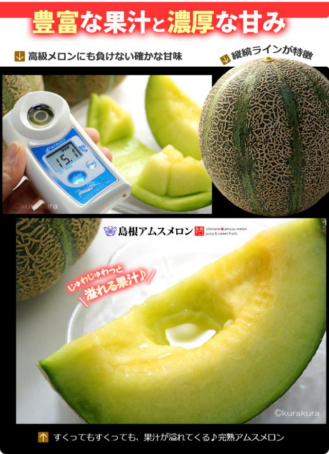 アムスメロン豊富な果汁と濃厚な甘味