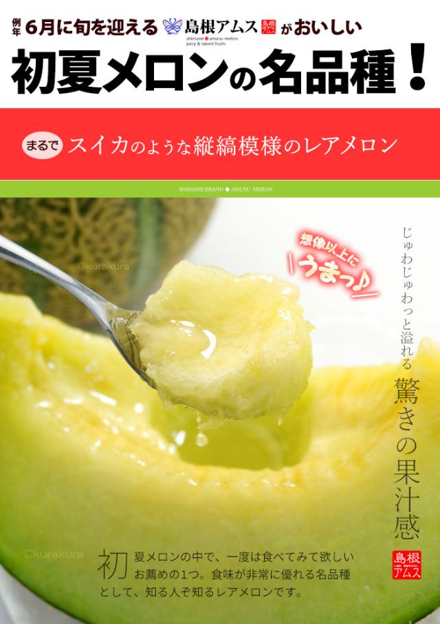 アムスメロンは初夏メロンの名品種！