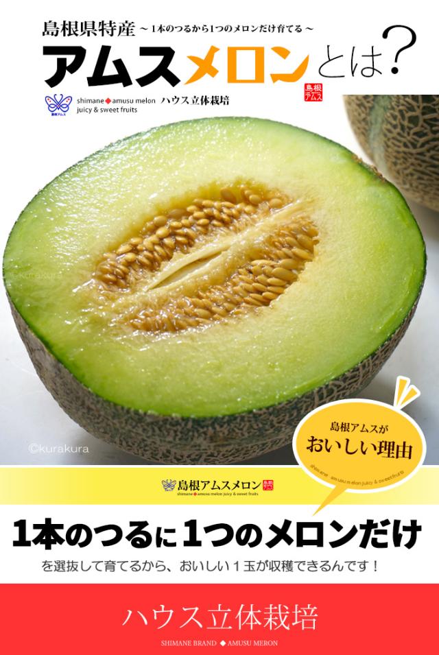 島根アムスメロンとは？