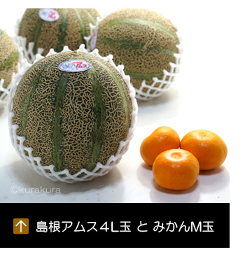 島根アムスメロン4L玉とみかんM玉サイズ比較
