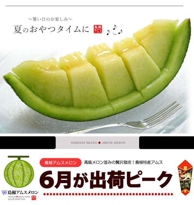 夏のおやつタイムに島根アムスメロン