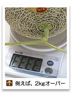 ふらのメロン特大玉例えば2kgオーバー
