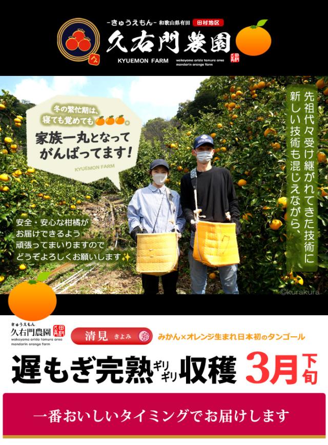 久右門農園の清見お届け規格のご案内