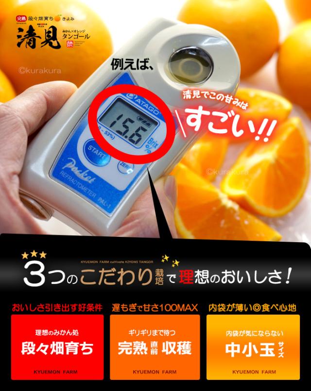 清見3つのこだわり栽培で理想の糖度おいしさ