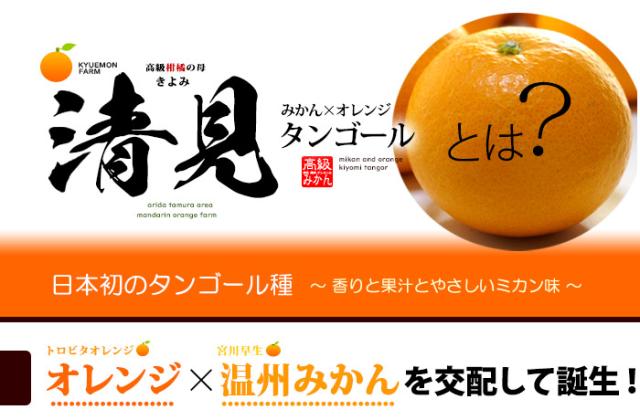 清見タンゴールとは？