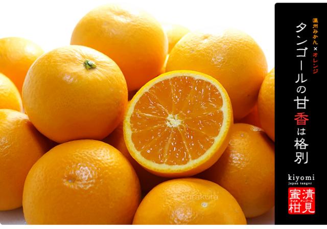 清見はオレンジとみかんを組み合わせた日本初のタンゴール