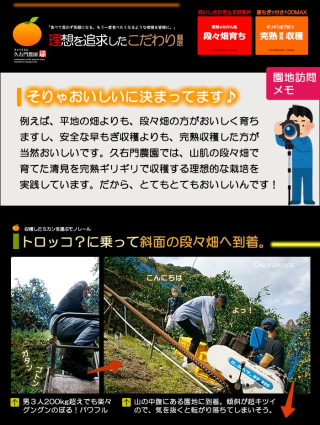 久右門農園の清見みかん理想を追求したこだわり栽培