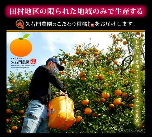 久右門みかん津之輝は和歌山有田の田村地区のみで生産