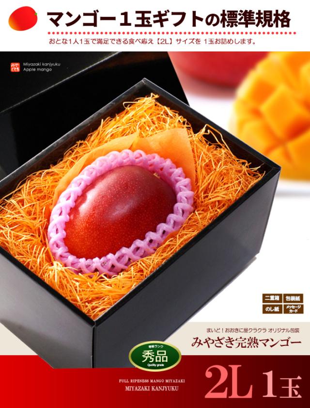 みやざき完熟マンゴー2L1玉ギフト販売姿イメージ