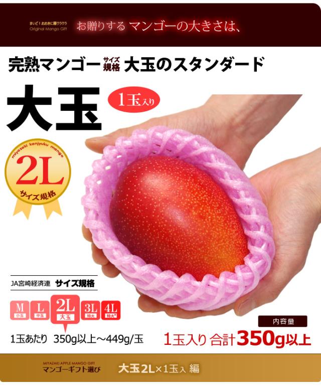 マンゴー大きさイメージ大玉2Lサイズ1玉