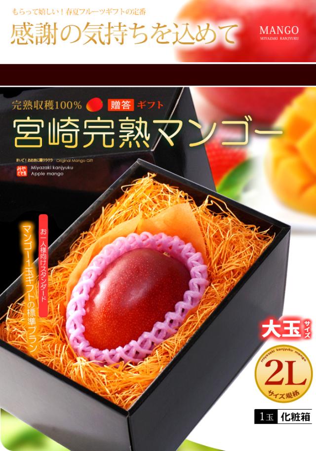 みやざき完熟マンゴー2L1玉ギフト販売/通販