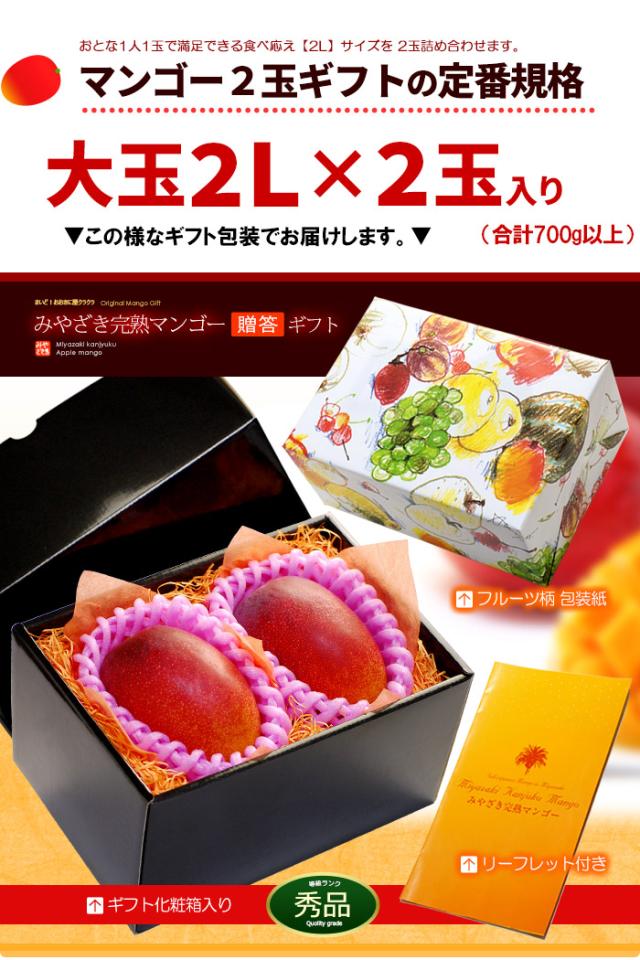 みやざき完熟マンゴー2L2玉ラッピング化粧箱ギフト