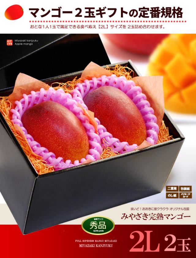 みやざき完熟マンゴー2L2玉ギフト販売姿イメージ