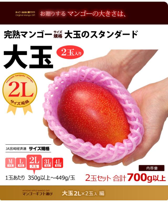 マンゴー大きさイメージ大玉2Lサイズ2玉