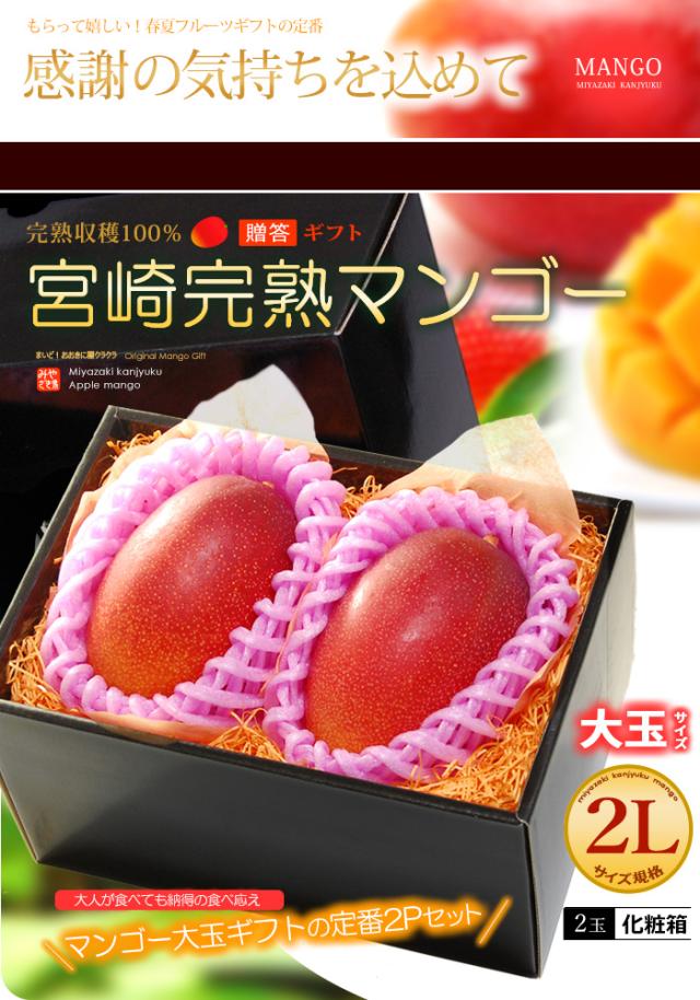 みやざき完熟マンゴー2L2玉ギフト販売/通販