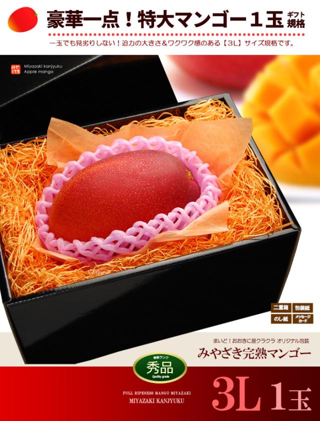 みやざき完熟マンゴー3L1玉ギフト販売姿イメージ
