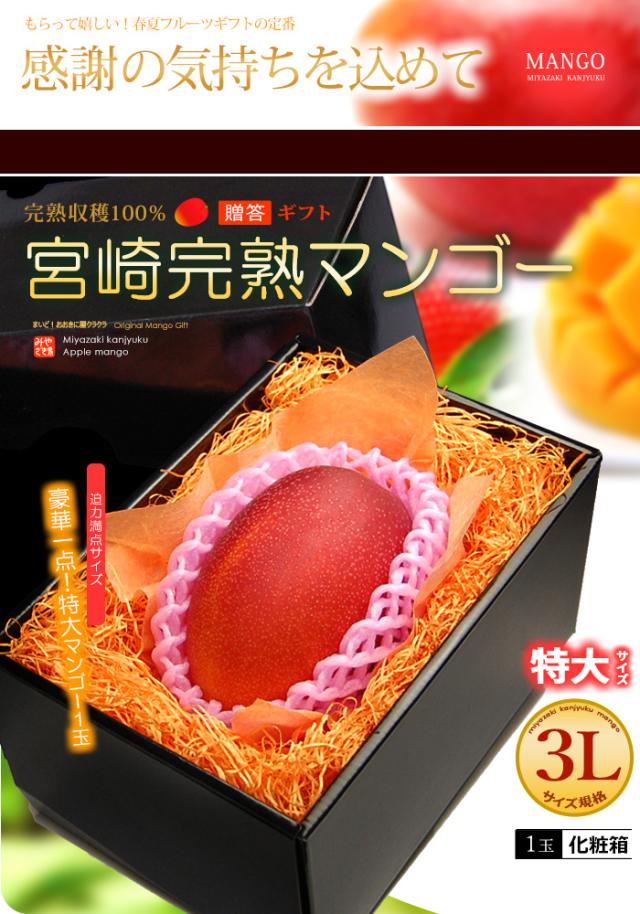みやざき完熟マンゴー3L1玉ギフト販売/通販