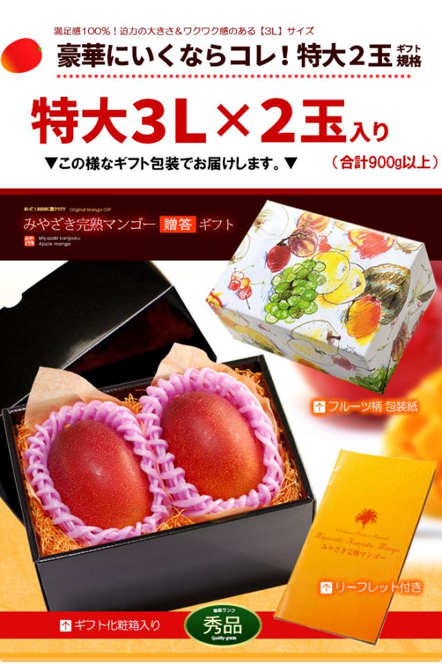 みやざき完熟マンゴー3L2玉ラッピング化粧箱ギフト