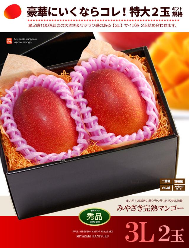 みやざき完熟マンゴー3L2玉ギフト販売姿イメージ