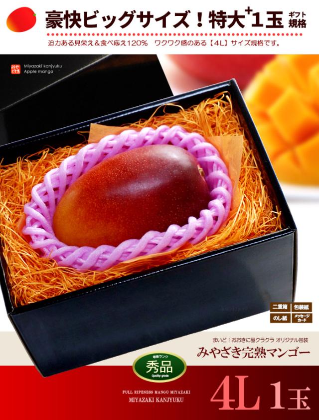 みやざき完熟マンゴー4L1玉ギフト販売姿イメージ