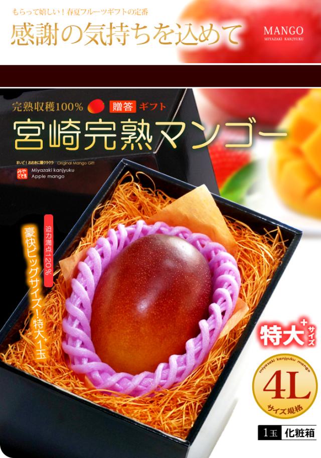 みやざき完熟マンゴー4L1玉ギフト販売/通販