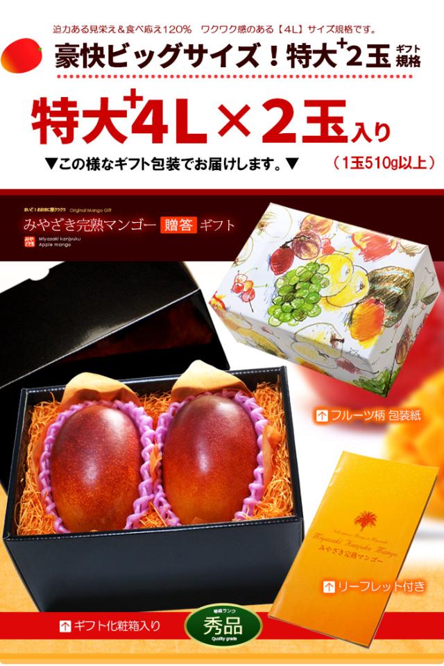 みやざき完熟マンゴー4L2玉ラッピング化粧箱ギフト