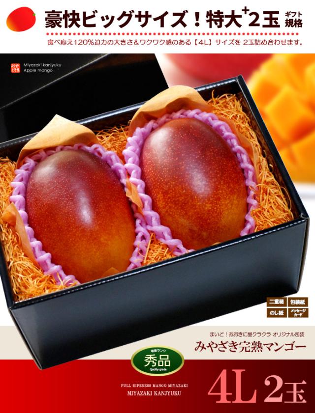 みやざき完熟マンゴー4L2玉ギフト販売姿イメージ