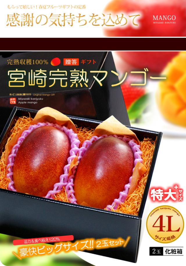 みやざき完熟マンゴー4L2玉ギフト販売/通販
