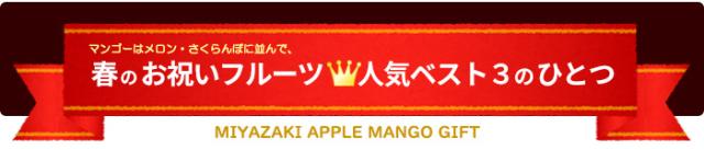 マンゴーは春のお祝いフルーツ人気ベスト3のひとつ