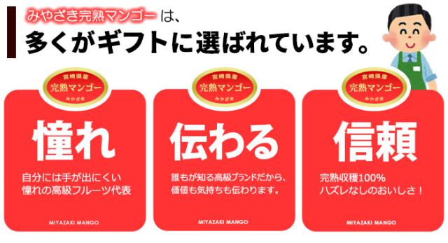宮崎完熟マンゴーはギフト購入に選ばれています