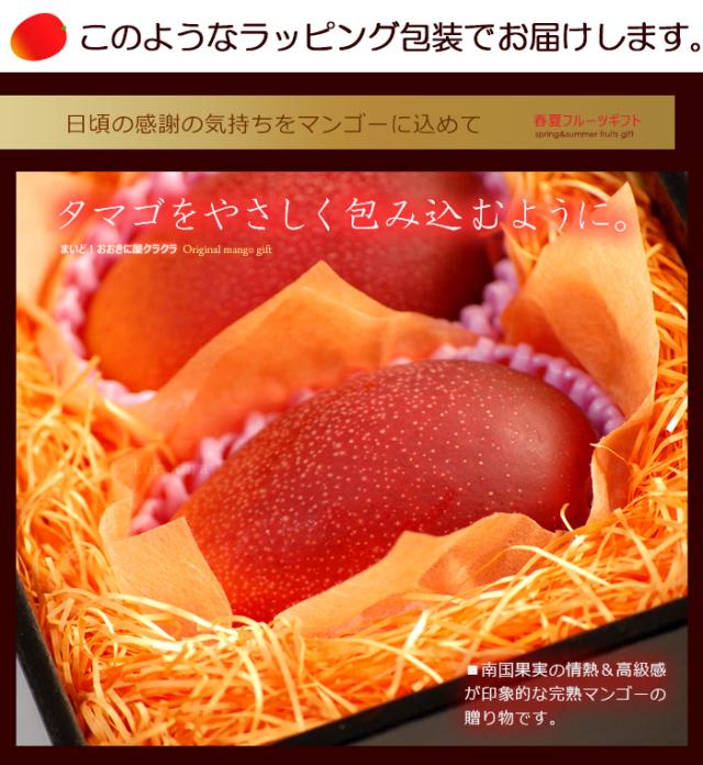タマゴを包むようにマンゴー感動ギフト