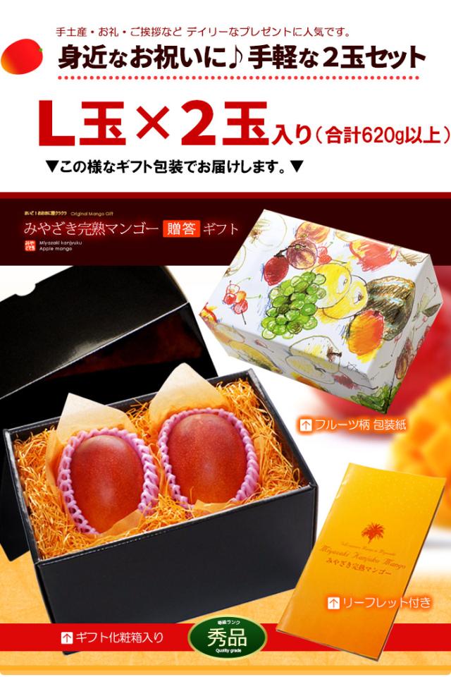みやざき完熟マンゴーL2玉ラッピング化粧箱ギフト