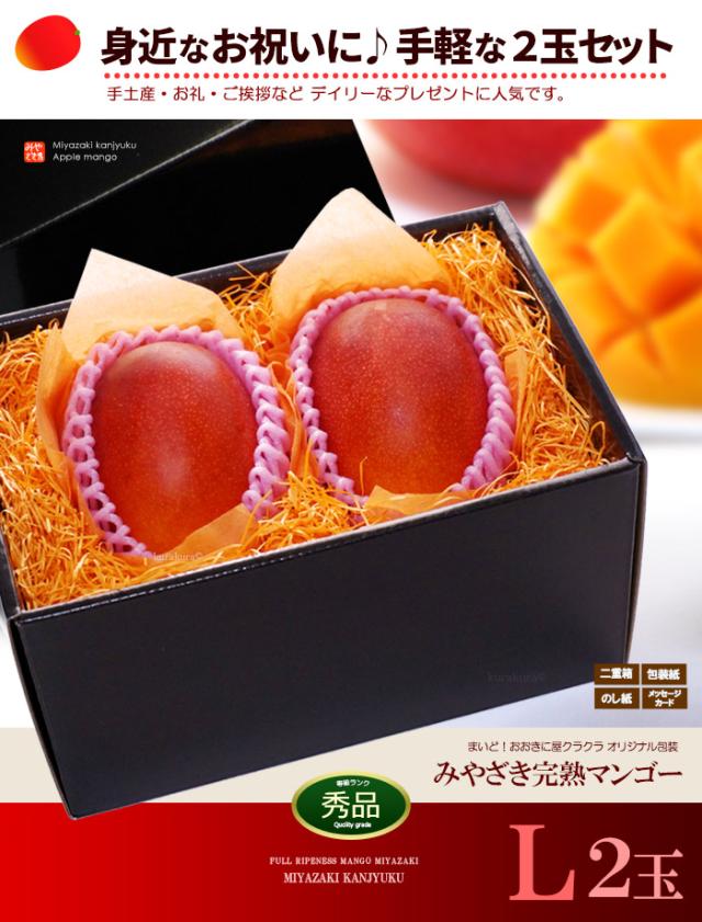 みやざき完熟マンゴー3L2玉ギフト販売姿イメージ