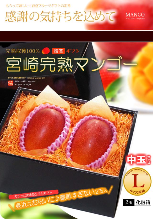 みやざき完熟マンゴーL2玉ギフト販売/通販