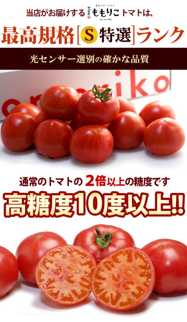 ももりこトマトS特選ランク光センサー糖度10度以上