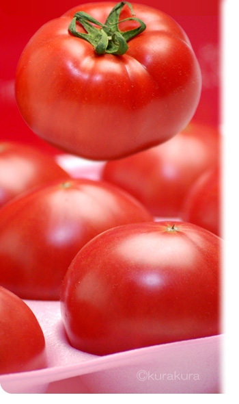 樫山農園トマト畑はコンピューター制御の生産体制