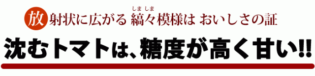 ももりこ沈むトマトは糖度が高く甘い