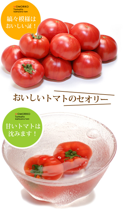 ももりこトマト縞々模様はおいしいトマトの証