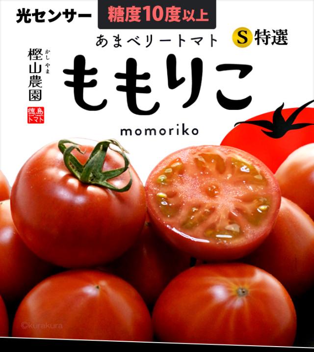 ももりこトマト販売/通販/お取り寄せ