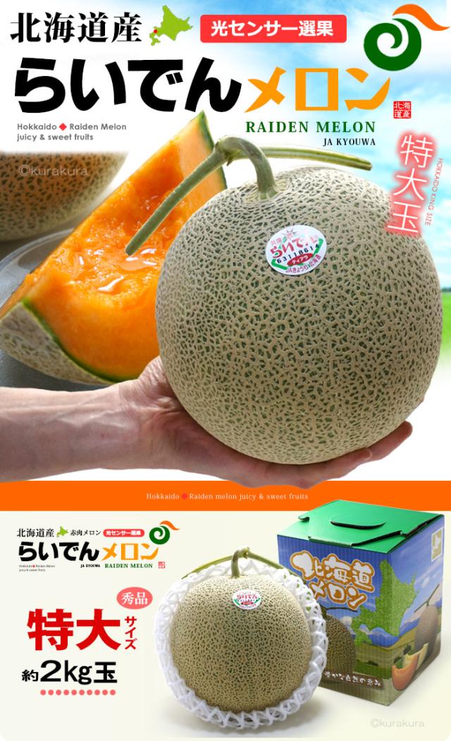 北海道らいでんメロン特大1玉販売/通販