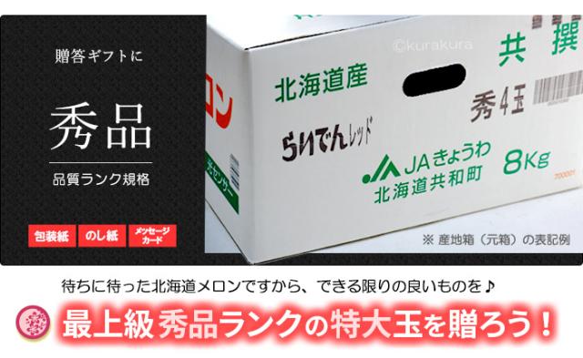 らいでんメロン秀品ランク限定販売