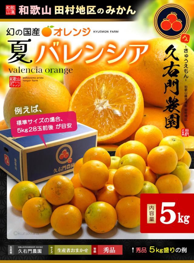 久右門農園バレンシアオレンジ5kg販売お届け姿イメージ