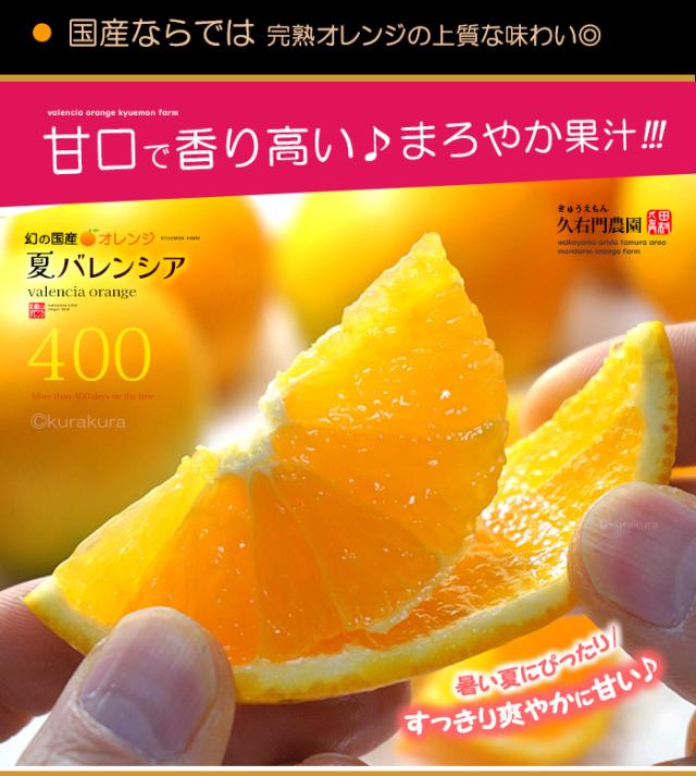 バレンシアオレンジ甘口で香り高い♪まろやか果汁!!!